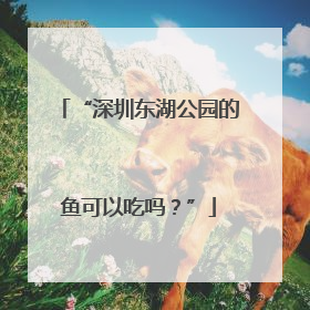 “深圳东湖公园的鱼可以吃吗？”